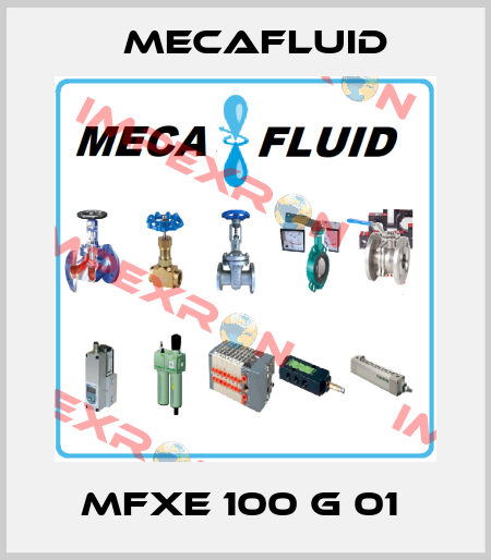 MFXE 100 G 01  Mecafluid