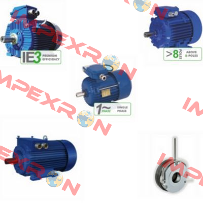 Elektrim DS Motor 3 SIEK 112 M-4 Cantoni