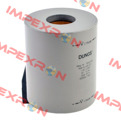 225167 Dungs