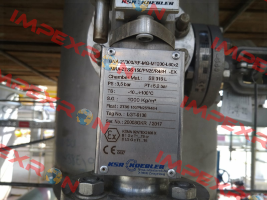 BNA-2"/300/RF-MG-M1.200-L60x2-MRAZTSS150/PN25/R48H-Ex  Ksr Kuebler