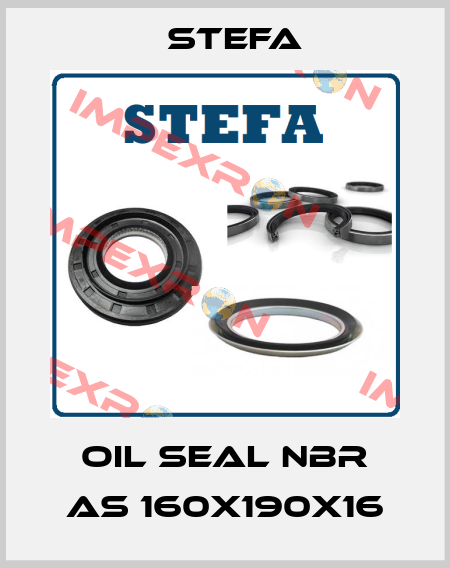 Oil Seal NBR AS 160x190x16 Stefa