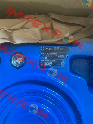 R 2I 125 UP2A - 19.3  backstop device Rossi