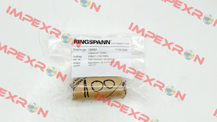 1051-025002 Ringspann